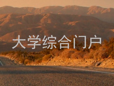 大学综合门户