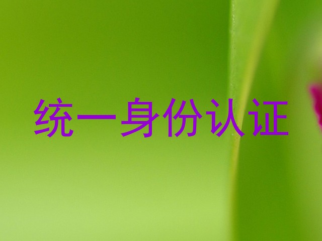 统一身份认证