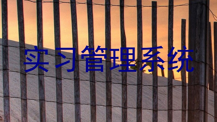 实习管理系统