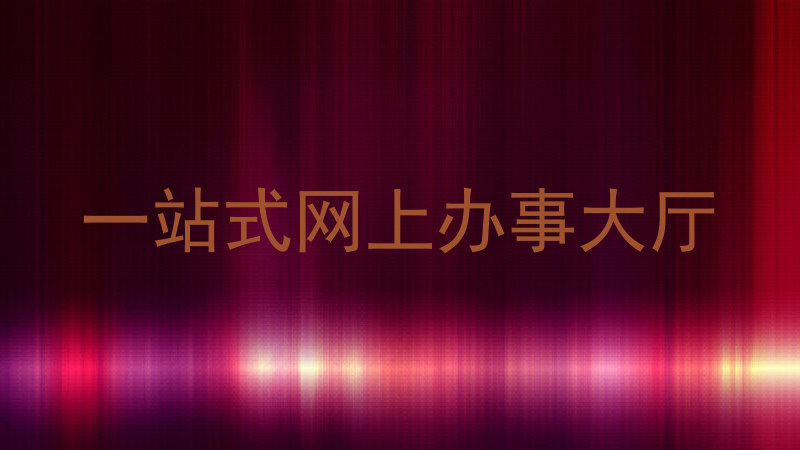 一站式网上办事大厅