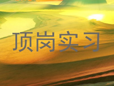 顶岗实习