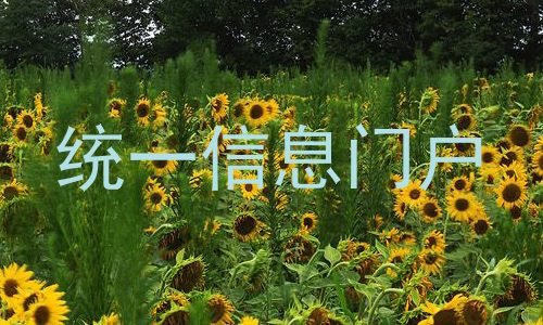 统一信息门户