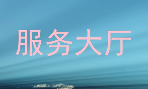 服务大厅