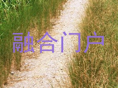 融合门户