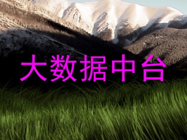 大数据中台