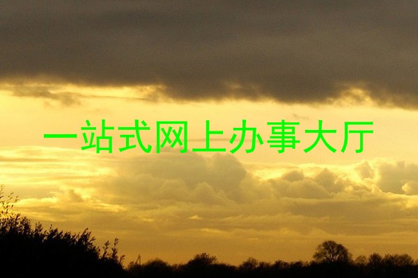 一站式网上办事大厅