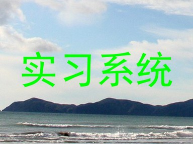 实习系统