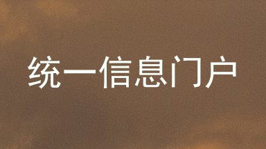 统一信息门户