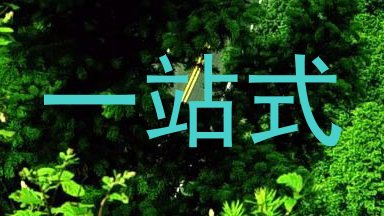 一站式