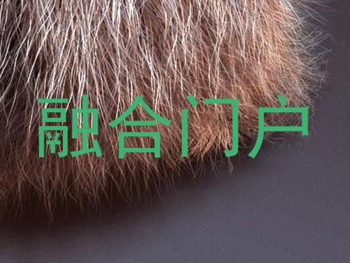 融合门户