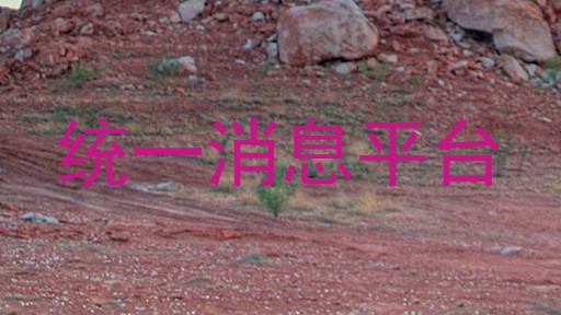 统一消息平台