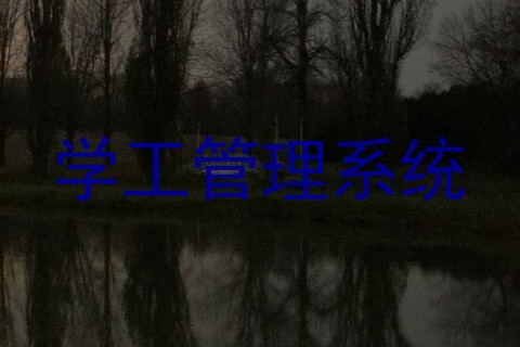 学工管理系统
