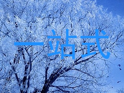 一站式