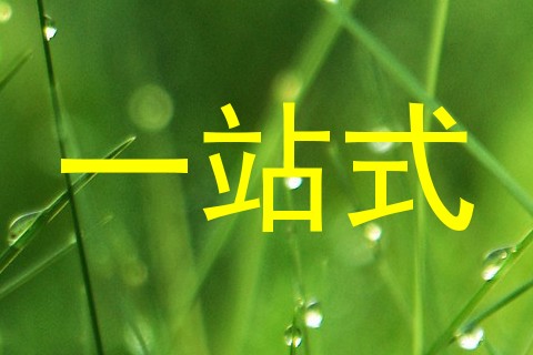 一站式