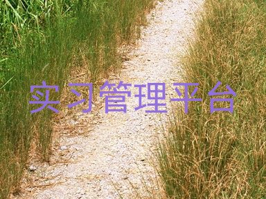 实习管理平台