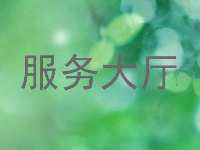 服务大厅