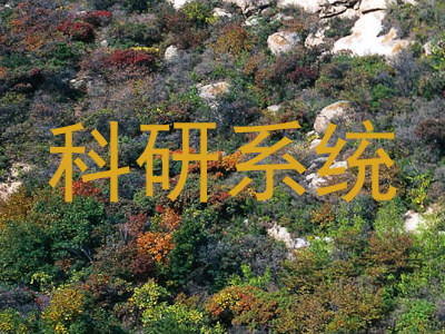 科研系统