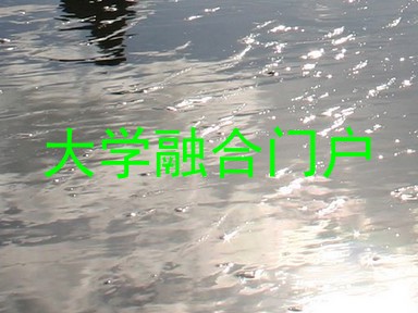 大学融合门户
