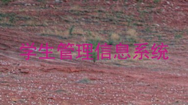 学生管理信息系统