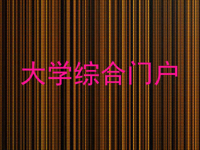 大学综合门户
