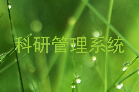 科研管理系统