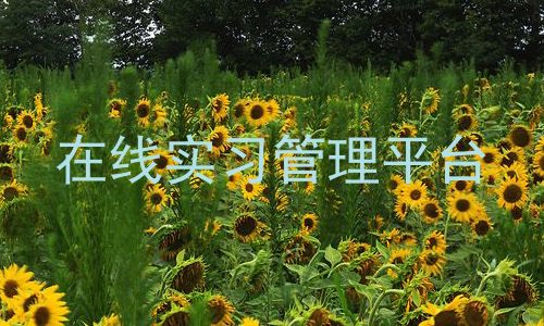 在线实习管理平台