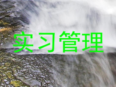 实习管理