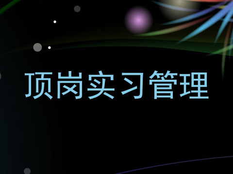 顶岗实习管理
