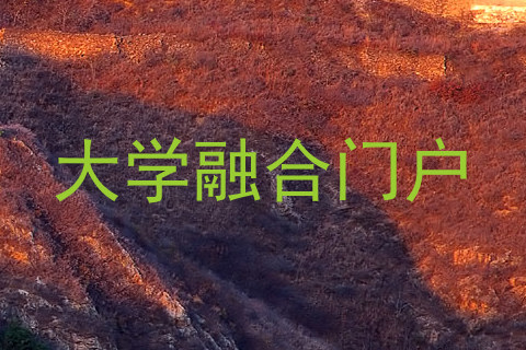 大学融合门户
