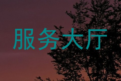 服务大厅