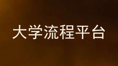 大学流程平台