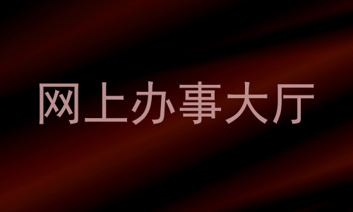 网上办事大厅