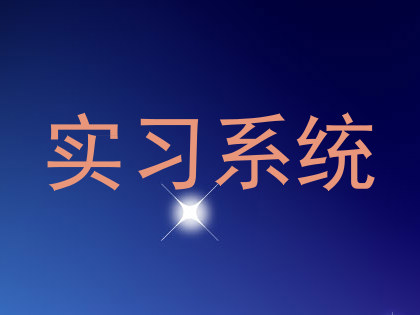 实习系统
