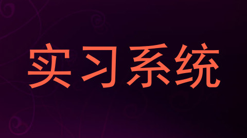 实习系统