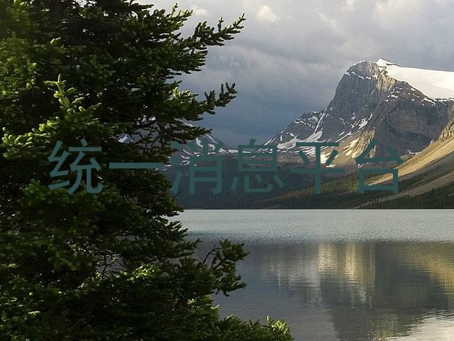 统一消息平台