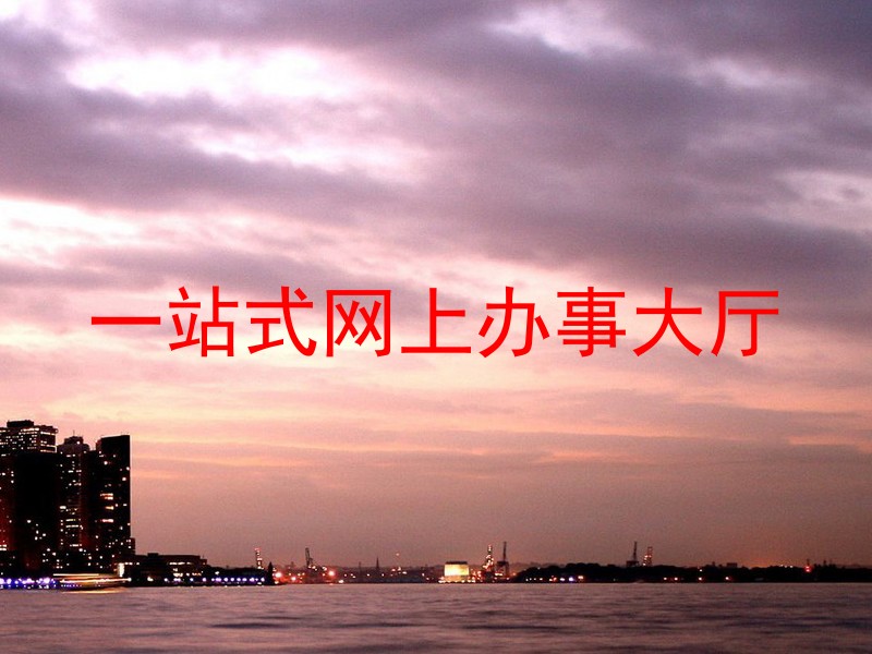 一站式网上办事大厅