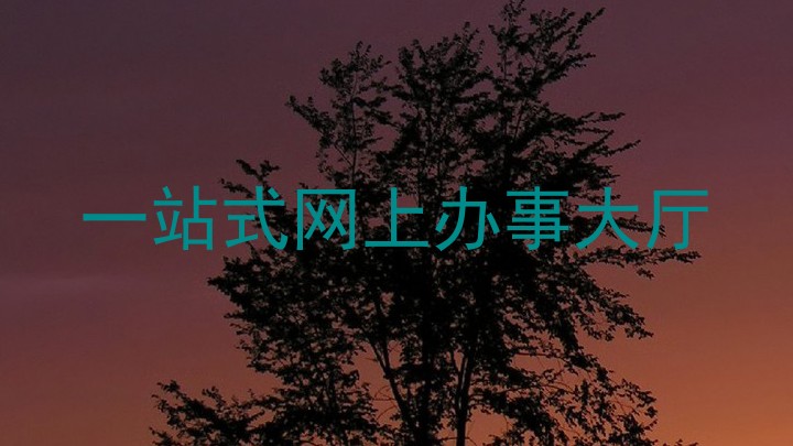 一站式网上办事大厅