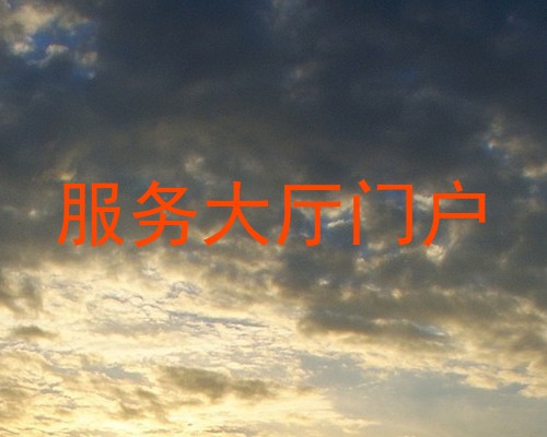 服务大厅门户