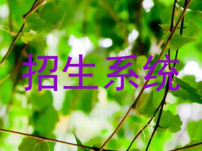 招生系统