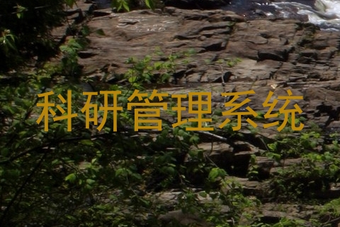 科研管理系统