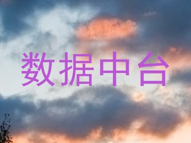 数据中台