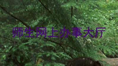 师生网上办事大厅