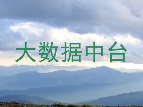 大数据中台