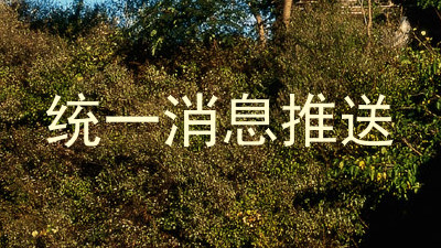 统一消息推送