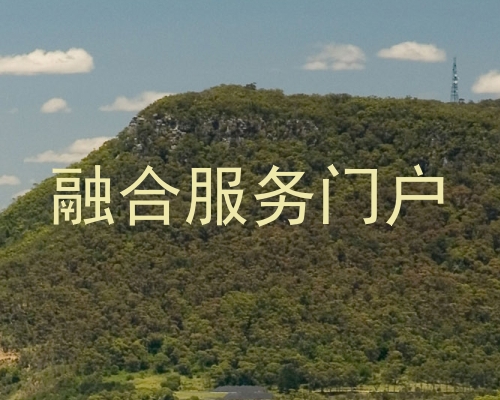 融合服务门户