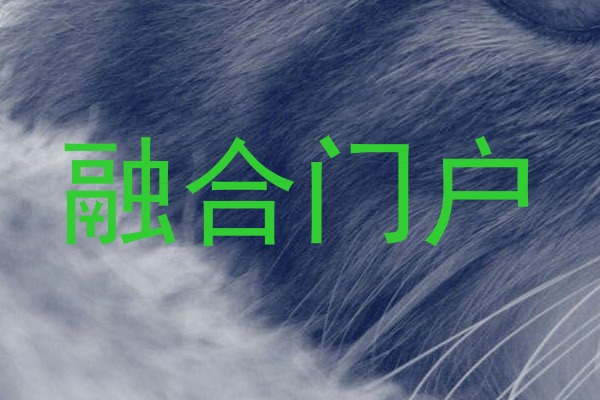 融合门户