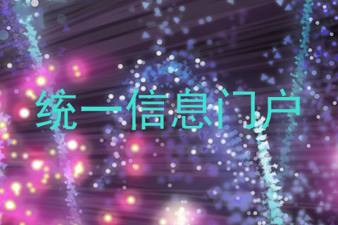 统一信息门户