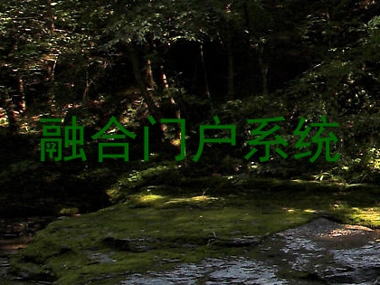 融合门户系统