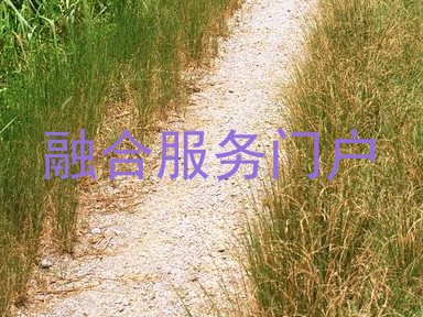 融合服务门户