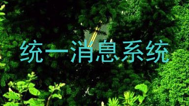 统一消息系统
